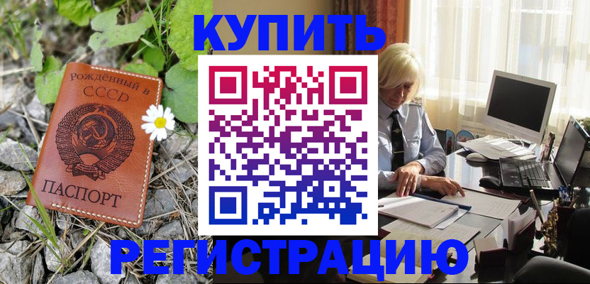 временная регистрация недорого в Завитинске